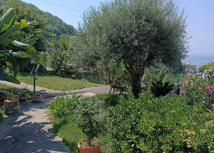 Il Rosmarino -monolocale Open Space Vista Mare, Ischia Форио